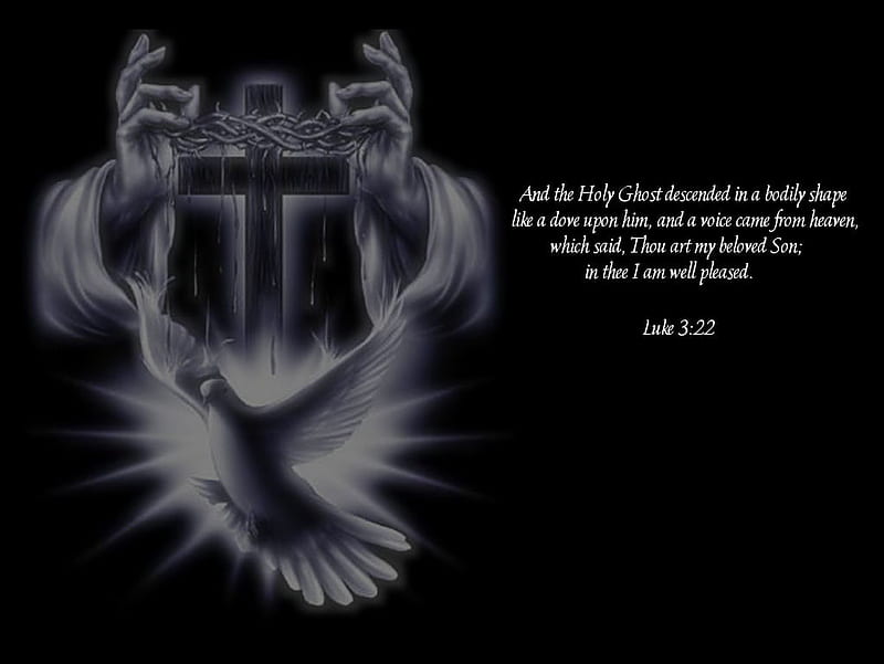 Original by me entitled Luke 3:22, dove, jesus, god, holy spirit, HD wallpaper
