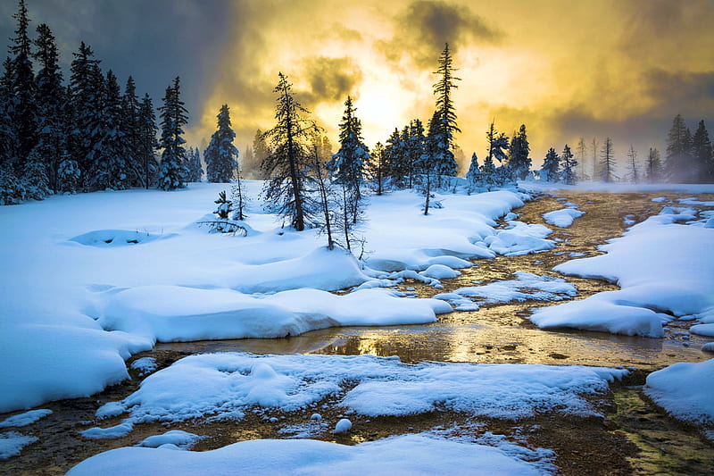 Yellowstone in Winter, snow, ice, river, valley, light, HD wallpaper