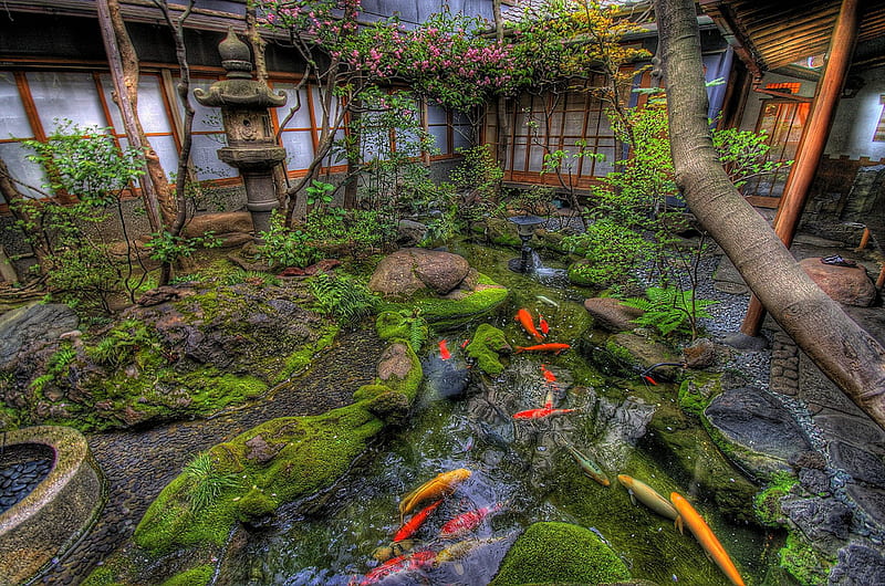 Japanese garden., rock, fish, koi, peace, tree, japan, water, statue, flower, garden, HD wallpaper