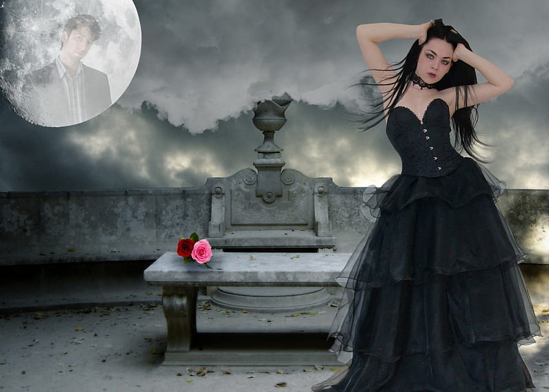 You belong with me, moon, roses, lady, night, HD wallpaper