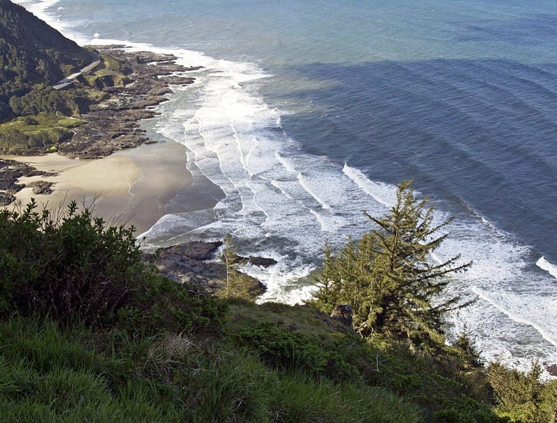 Along The Shore, tree, sand, cliffs, ocean, HD wallpaper