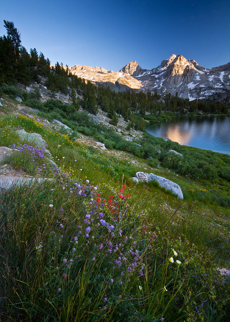 mountains, lake, valley, grass, flowers, landscape, HD phone wallpaper