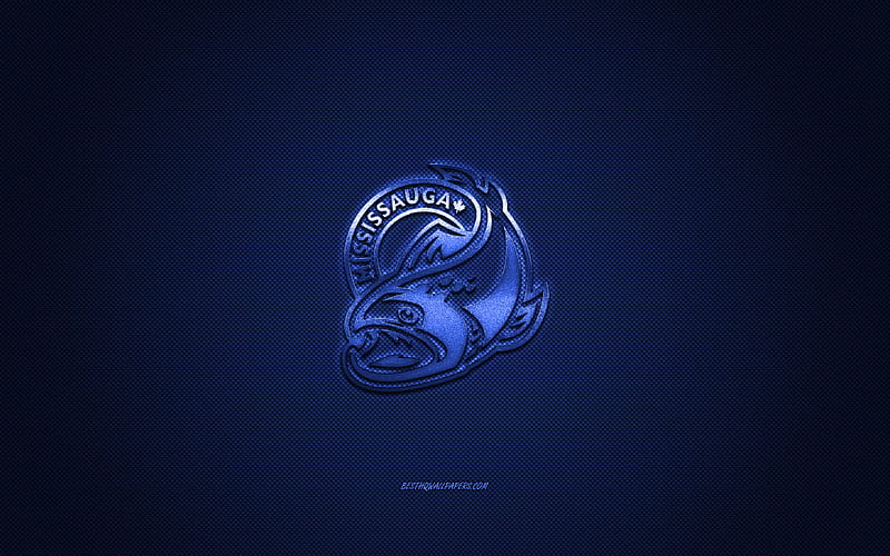 150 Mississauga Steelheads Images, Stock Photos, 3D objects, & Vectors