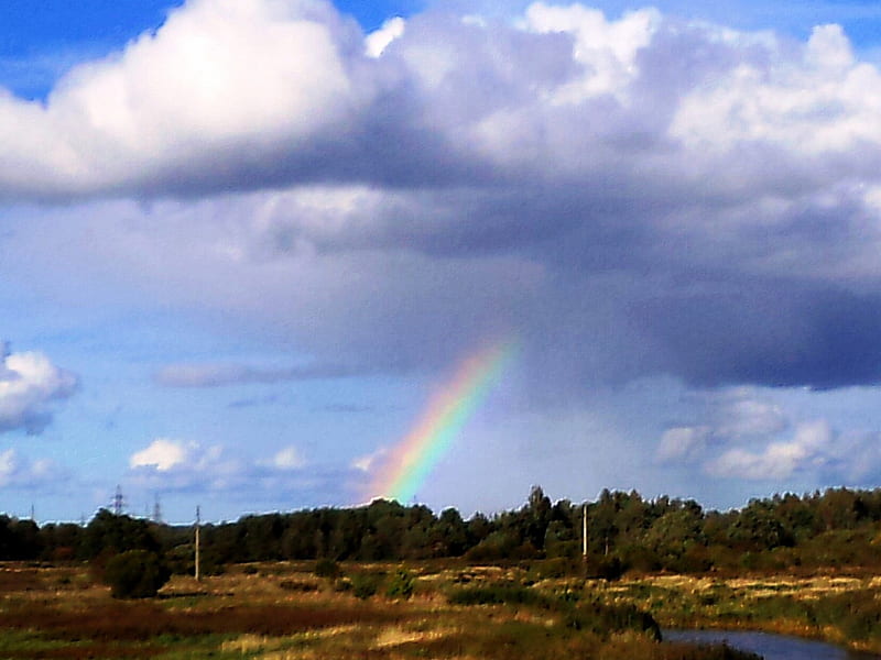 Rain., rainbows, nature, fields, sky, HD wallpaper