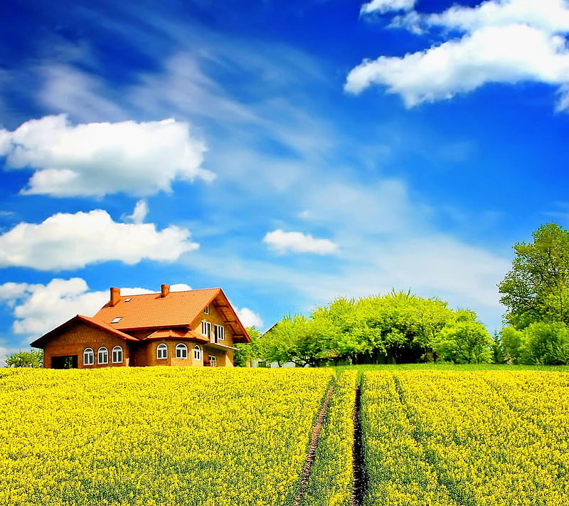 Sunny day, clouds, field, house, landscape, nature, sky, village, HD wallpaper