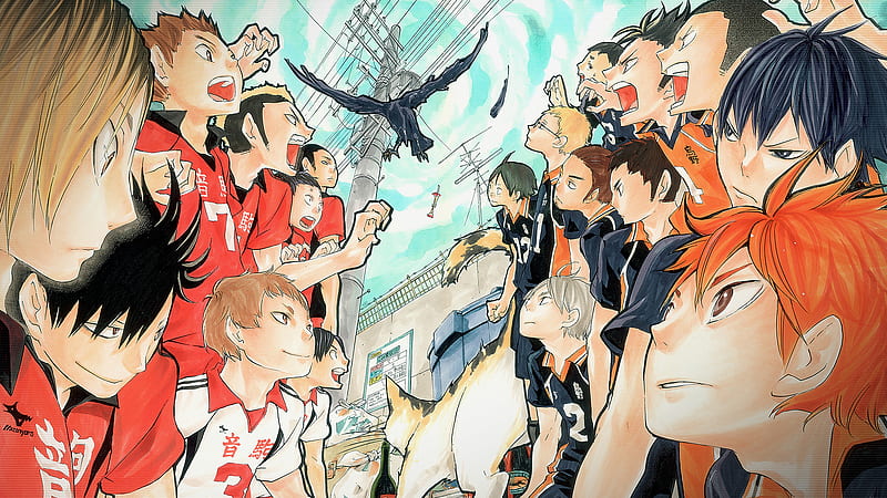 Haikyu Two Teams Shouting Anime, HD wallpaper