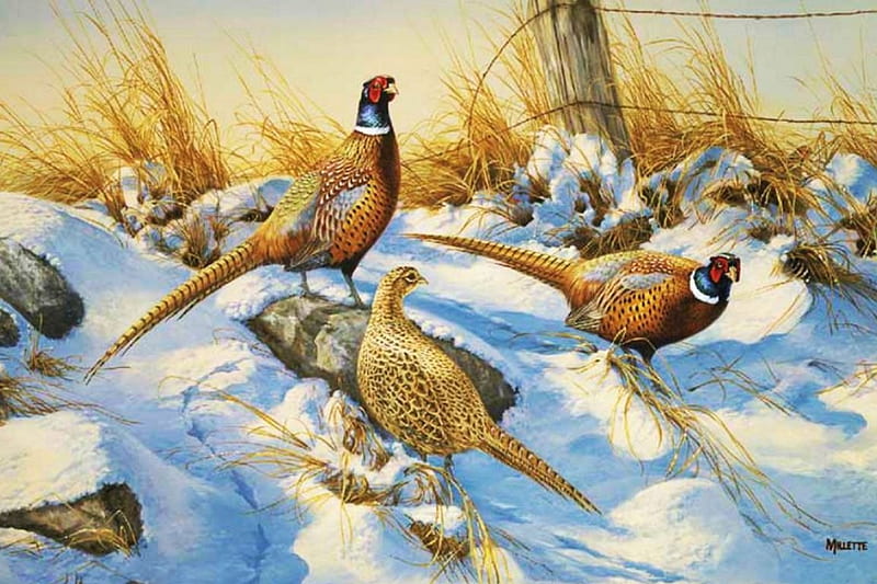 Pheasants in Snow, grass, painting, birds, nature, artwork, winter, HD wallpaper