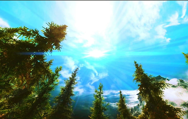 look up, Mountain, Tree, Sky, Sun, HD wallpaper