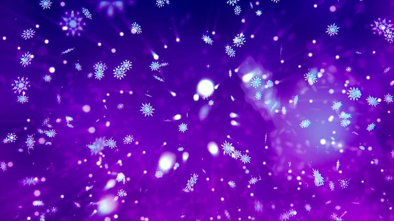 Snow Flakes Slowly Drop Down On A Violet Background. Happy New Year Or Merry Christmas Background. Loopable. Motion Background 00:10 SBV 313588049 Storyblocks, Magenta Christmas, HD wallpaper