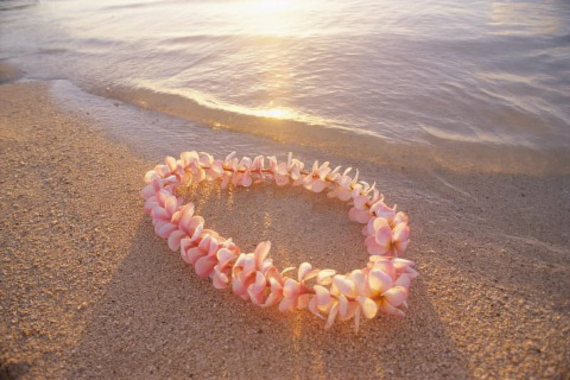Pink Plumeria lei garland lies on the sand on a Hawaiian Beach, polynesia, sun, plumeria, sunset, sea, garland, beach, sand, polynesian, pink, exotic, islands, lei, tahitian, ocean, hawaii, set, frangipani, paradise, island, tropical, hawaiian, HD wallpaper