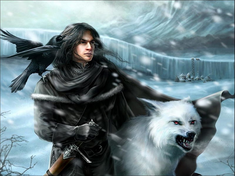 THE PROTECTOR, male, protector, wolf, bird, HD wallpaper