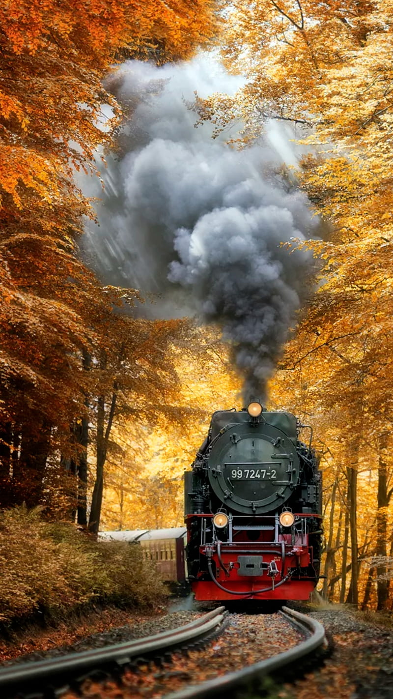 Journey by train, forest, locomotive, railway, smoke, steam, trees, yellow, HD phone wallpaper