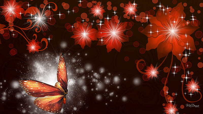 Orange Glows Brightly, stars, glow, sprinkles, butterfly, orange, flowers, HD wallpaper