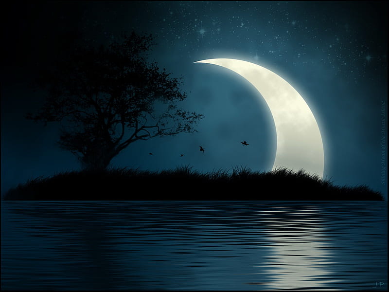 Shining moon, stars, moon, water, island, wood, light, HD wallpaper