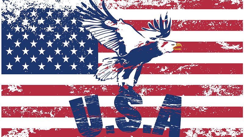 US Flag With Eagle American Flag, HD wallpaper