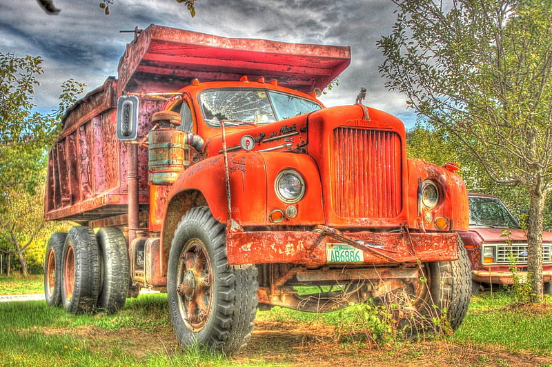 1960 Mack, Done In R, mack truck, dump truck, trees, field, HD wallpaper
