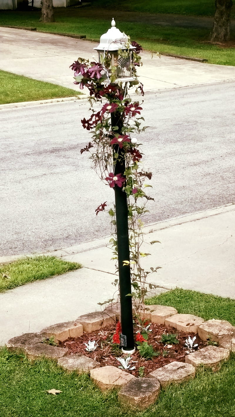 Purple Lamp post, flowers, lamp post, HD phone wallpaper | Peakpx