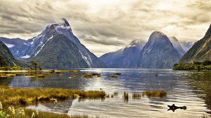 beautiful milford sound in new zealand, sound, clouds, grass, mountains, HD wallpaper