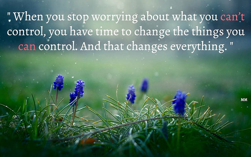 Control, Words, Thoughts, Flowers, Nature, Quotes, HD wallpaper