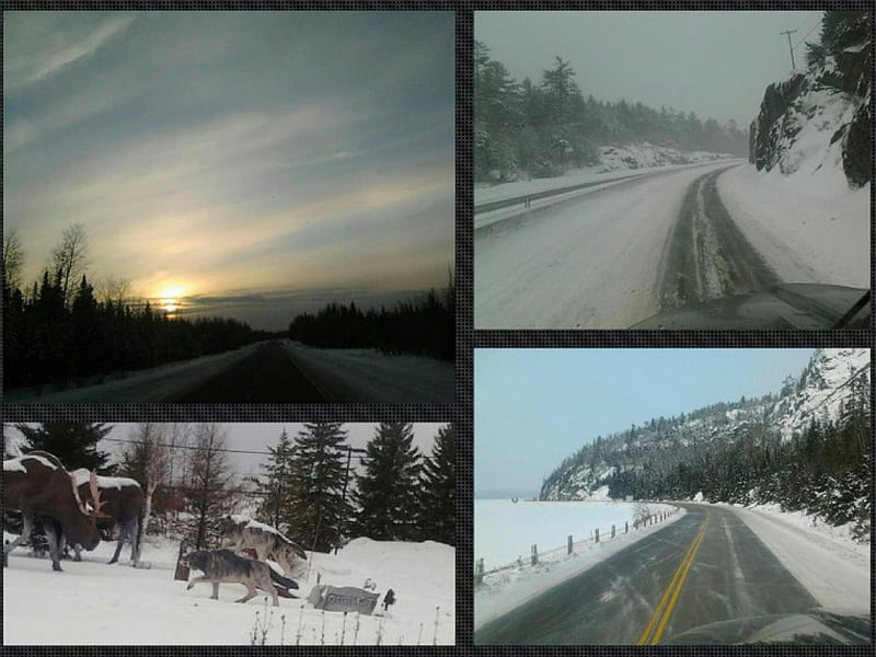 ~~; winter pics ;~~, highway, nature, snow, winter, HD wallpaper