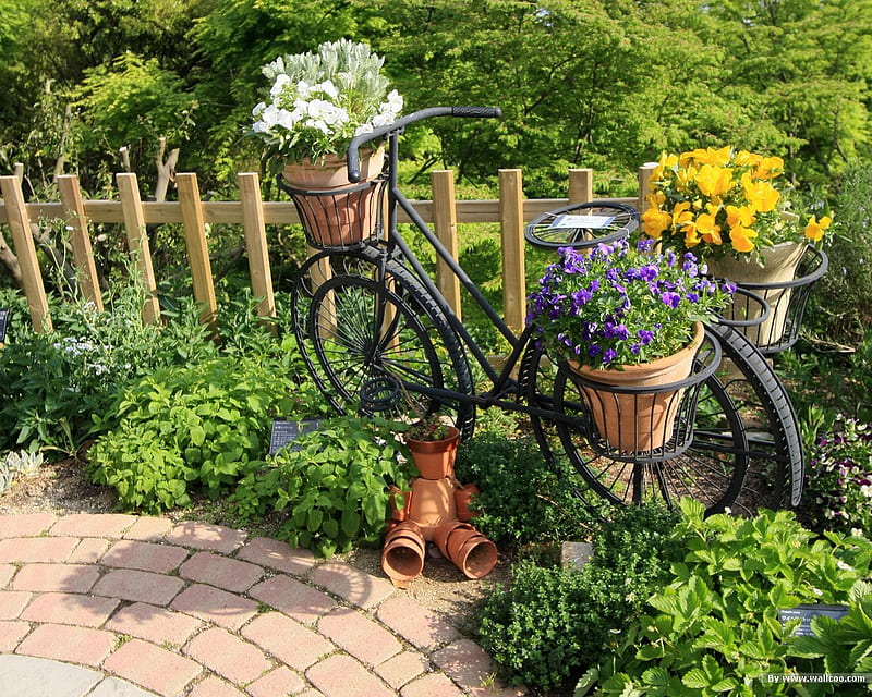 Bicycle Flower Basket, fence, flower boxes, bicycle, flowers, bonito, greens, japanese garden, HD wallpaper