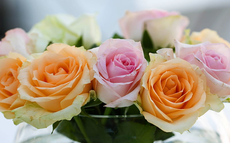 orange roses, rosebuds, beautiful flowers, pink rose, bouquet, HD wallpaper