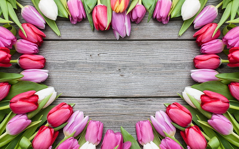 Pink tulips, wild flowers, heart of tulips, boards, beautiful flowers, tulips, HD wallpaper