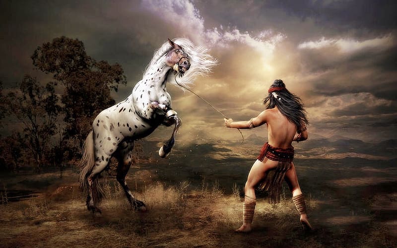 Difference of Opinions, indian, Native American, indiginous, horse, wild horse, Browns, HD wallpaper