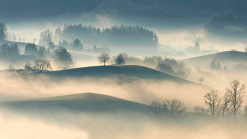 Foggy Landscape, HD wallpaper