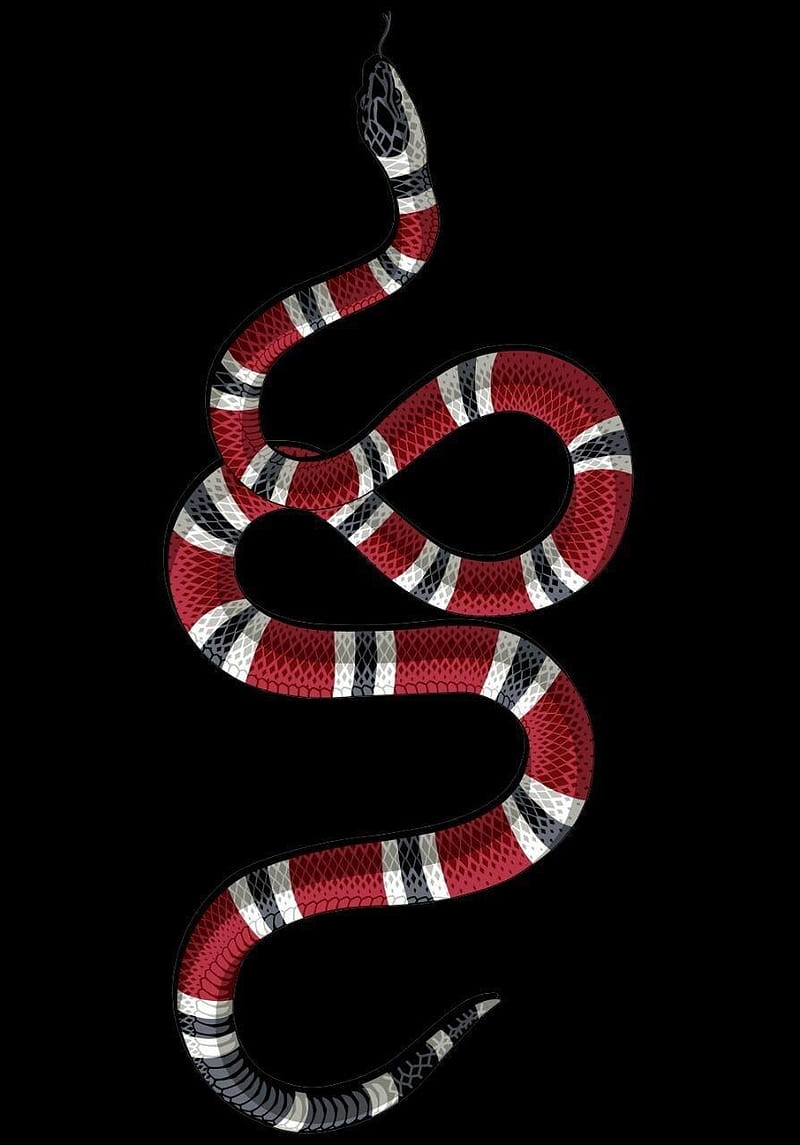 GucciSnake, gucci, snake, brand, luxury, highend, luxe, dope, HD phone wallpaper