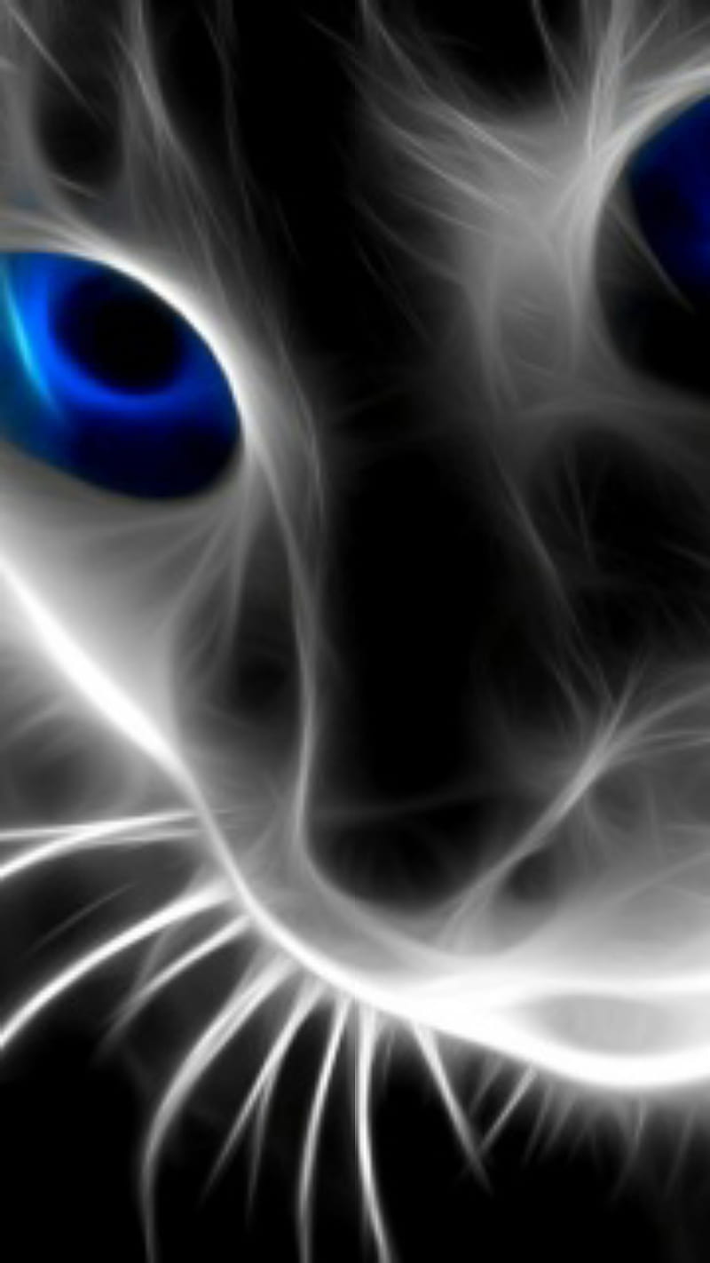 Gato azul, blue, cat, HD phone wallpaper | Peakpx
