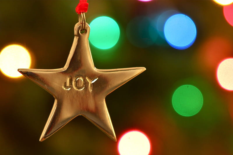 ☆ Our Great Joy ☆, red, golden, joy, decor, lights, winter, sparkle, merry christmas, green, colored, love, siempre, nature, star, ornament, blue, HD wallpaper