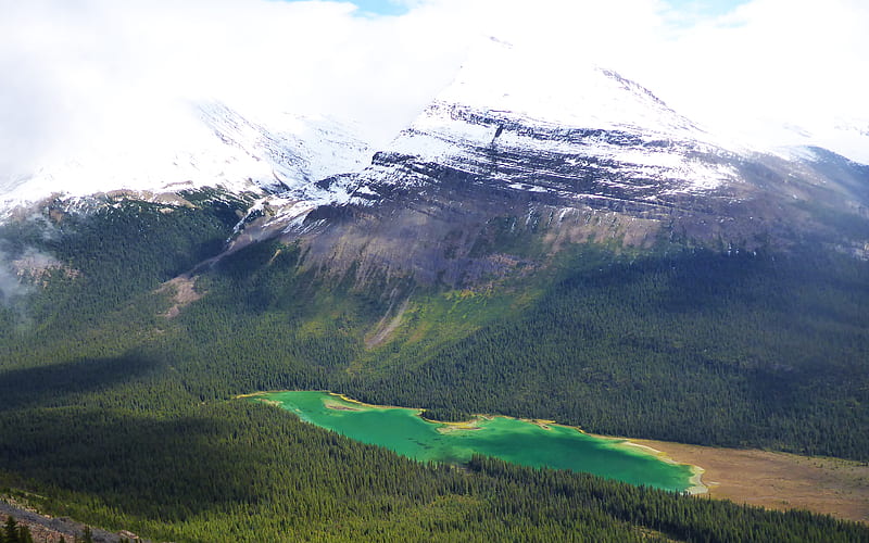 Calling Lake, mountain lake, Alberta, Canada, forest Rocky Mountains, HD wallpaper