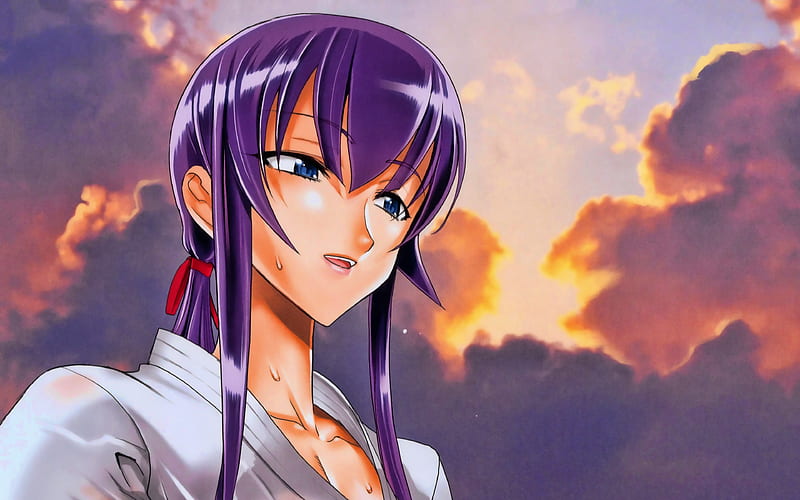 Saeko Busujima, sky, Highschool of the Dead, sunset, protagonist, artwork, Busujima Saeko, manga, girl with violet hair, HD wallpaper