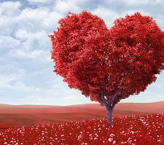 Love Tree, heart, leaf, leaves, love, plant, tree, HD wallpaper