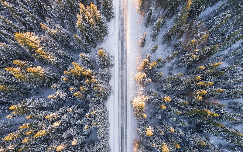 winter, forest, top view, road, snow, snowy forest, view from above, HD wallpaper