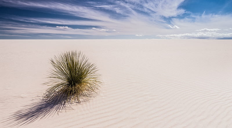 White Sands, New Mexico Ultra, Nature, Desert, Landscape, Scenery, graphy, Sand, Dunes, new mexico, Explore, wasteland, White sands, HD wallpaper