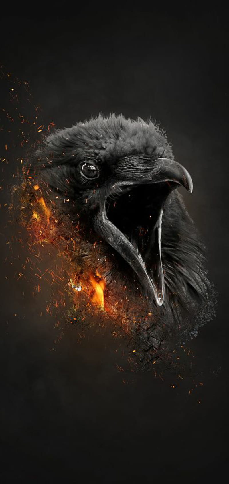 Note 10 plus, crowd, fire, games, hunger, raven, volcanic, HD phone wallpaper
