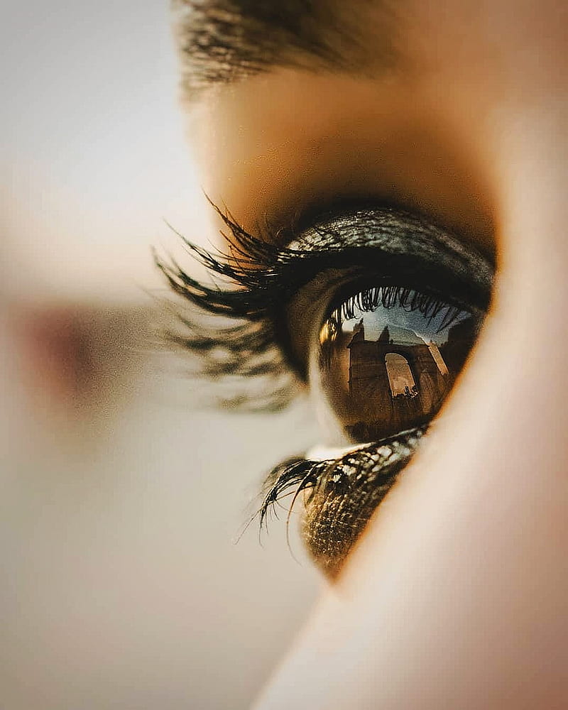 Eye Amazing Beautiful Eye Beautiful Girl Cool Cute Girl Exotic Female Hd Phone Wallpaper Peakpx