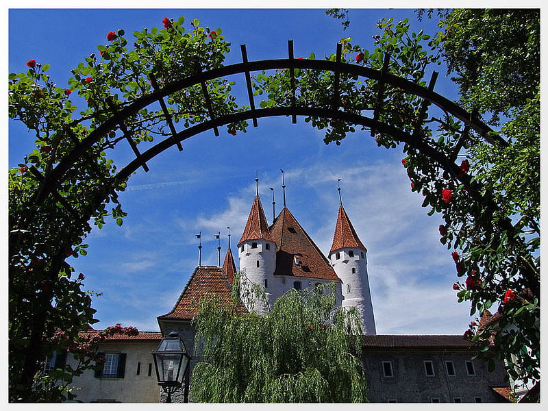 trough a rose arch, germany, roses, arch, castle, HD wallpaper