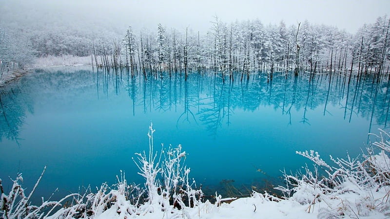 Hokkaido, japanese, lake, winter, japan, snow, ice, nature, scenery, frozen, HD wallpaper