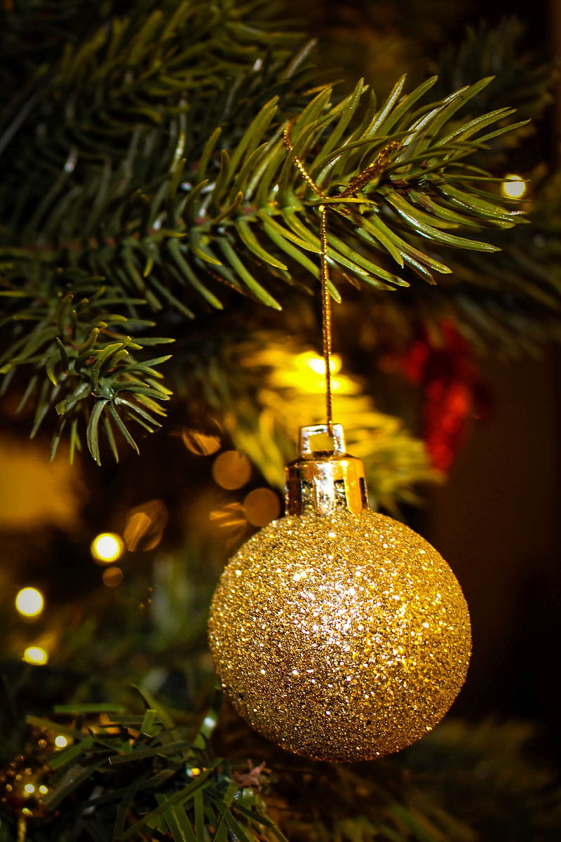Christmas Tree, gifts, stockings, ornaments, lights, HD phone wallpaper