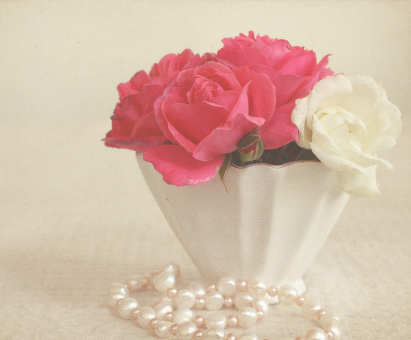 roses and pearls, red, still life, cup, pearls, roses, white, HD wallpaper