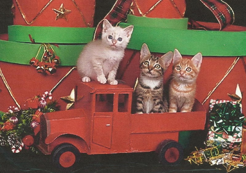 Three kittens on a truck, cute, feline, christmas, kittens, pine cone, toy truck, HD wallpaper
