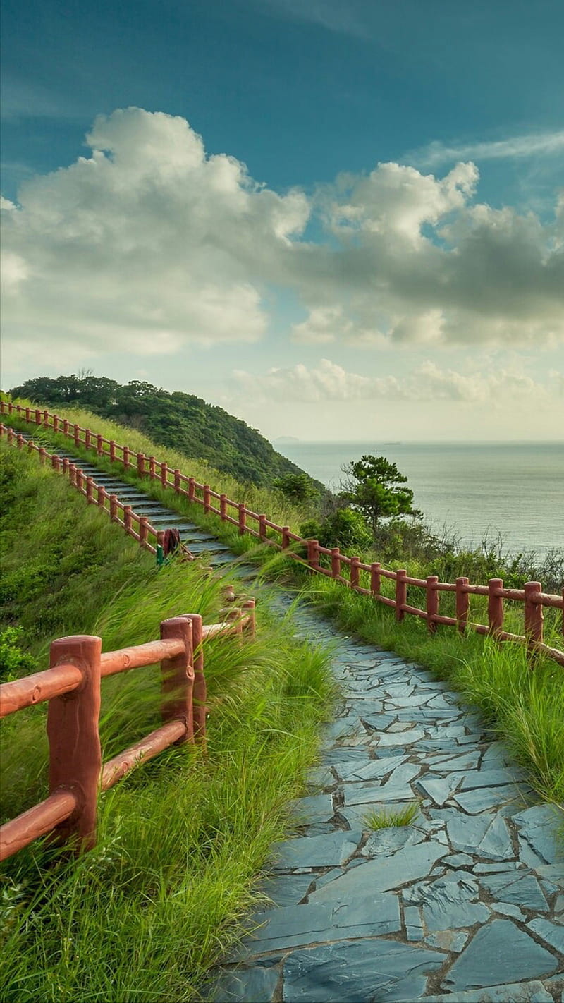 Nature, grass, sea, sky, stairs, stone, HD phone wallpaper | Peakpx