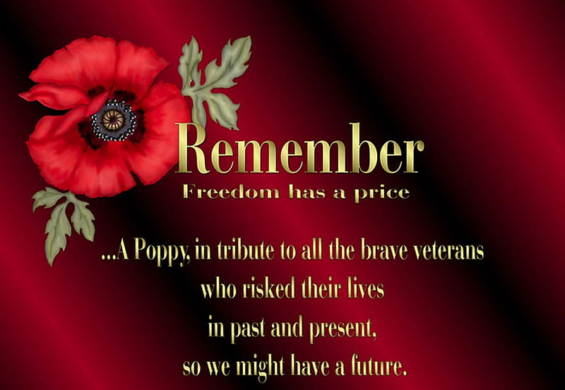 In Honor of Our Veterans on Veterans Day, poppy, Veterans, Vets, poem, quote, Veterans Day, HD wallpaper