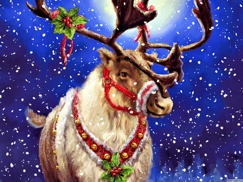 Riegndeer, antlers, holly, xmas, deer, animal, moon, snow, moonlight, light, HD wallpaper