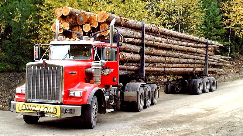 kenworth logging truck, kenworth, forest, truck, log, HD wallpaper