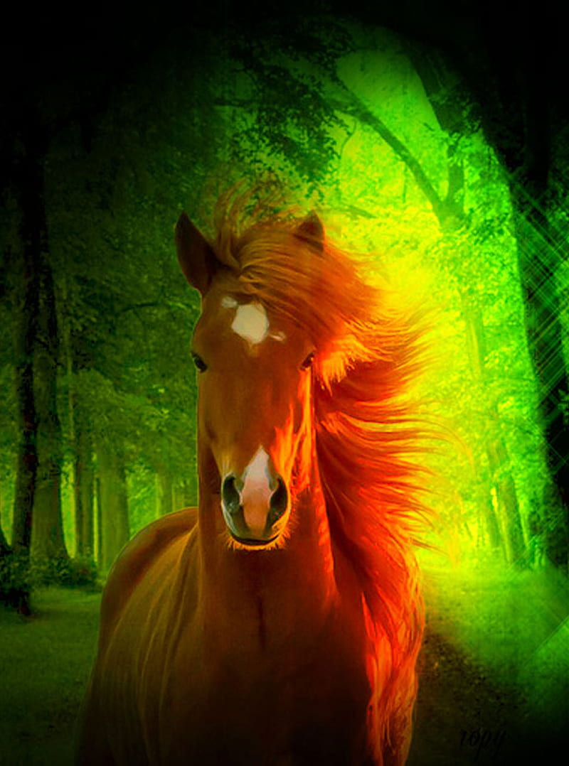 Top 127+ Imagenes de caballos hermosos para fondo de pantalla -  