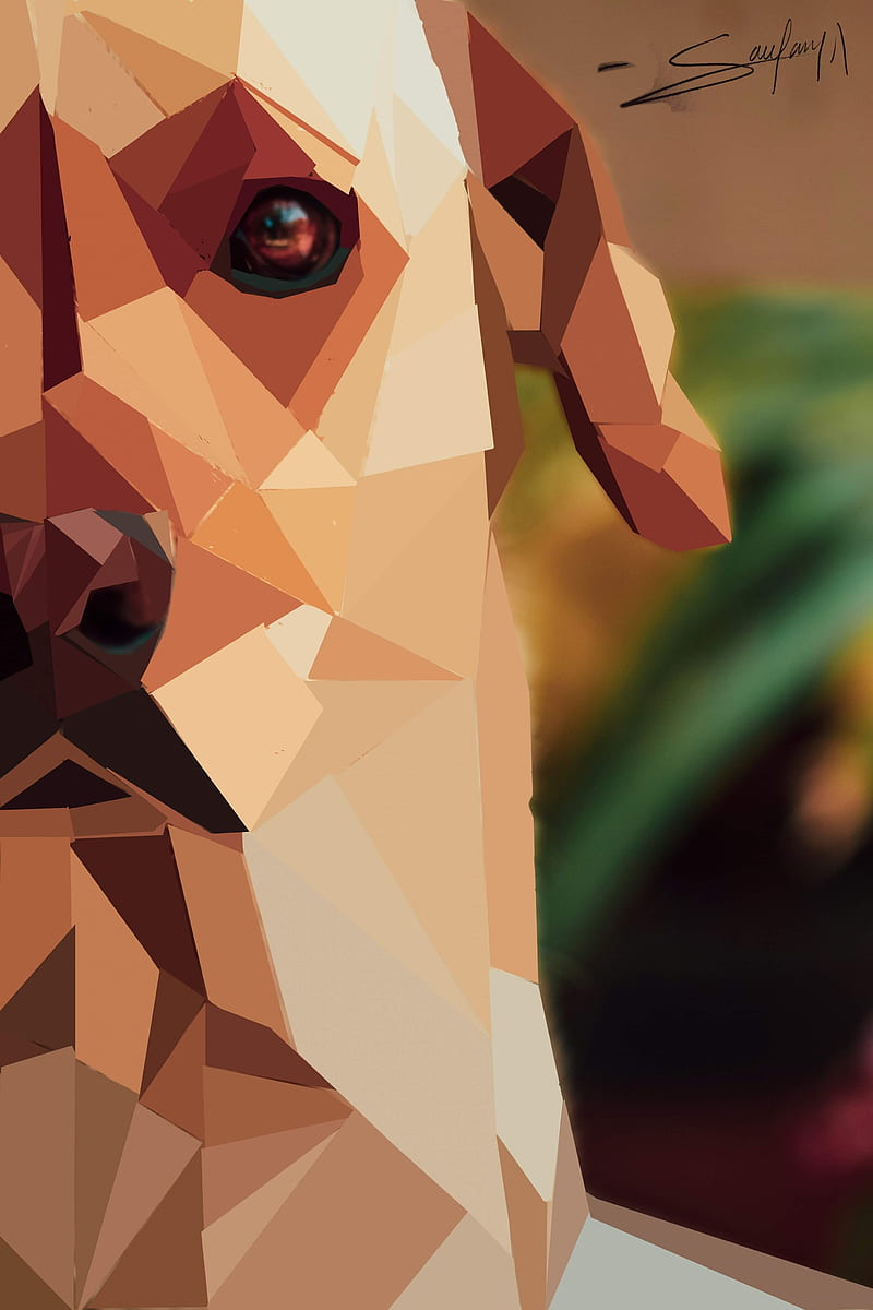 SIMBA, dog, labrador, labrador retriever, pet, vector art, HD phone wallpaper